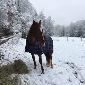 Meet your Posher, Peggy